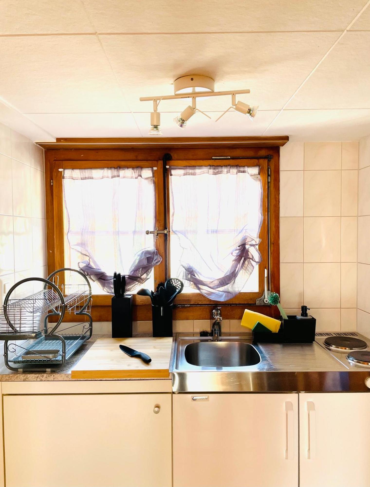 Charming, Well-Equipped Alpine Apartment Кандерстег Екстериор снимка